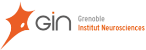 GIN Grenoble institut des neurorsciences